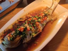 清蒸黄翅鱼-全渔村小海鲜