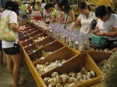 -亚龙湾中心广场·贝壳馆