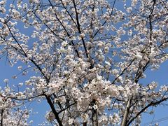 -长田漾湿地公园