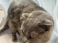 -pd派德宠物中心医院24H急重症·眼科中心·血液透析中心(嵩山北路店)