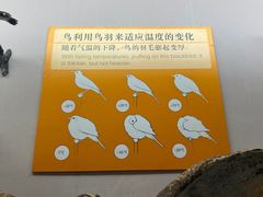 -青藏高原自然博物馆