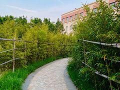 -南开大学滨海学院