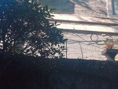 -古董花园(思南路42弄小区店)