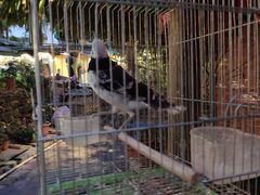 -园林美食城·本土农家菜(杨和镇店)