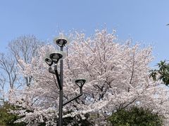 -石湖景区