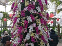 -北京植物园-展览温室