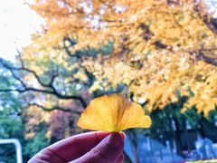 -汇龙潭