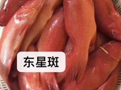-李记潮汕砂锅粥(营福路店)