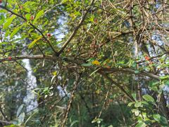 -金堂县云顶石城风景区