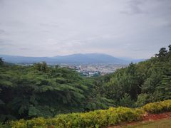 -西双版纳勐泐文化旅游区