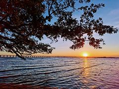 -宝安西湾红树林湿地公园