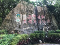 -西双版纳原始森林公园