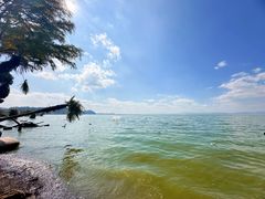 -捞渔河湿地公园