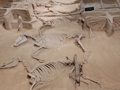 -洛阳周王城天子驾六博物馆