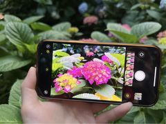 -常州古运河南大街文化旅游区-人民公园