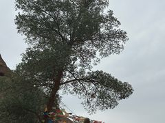 -天山神秘大峡谷