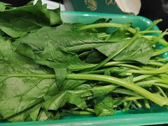 -楚湘苑(商品街大道店)