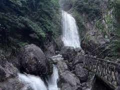 -龙湾潭国家森林公园
