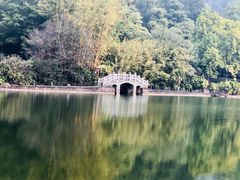 -三水森林公园