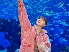 -海合安成都极地海洋公园