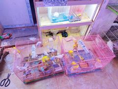 -山东柏宁水族批发广场