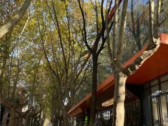 -西安电影制片厂