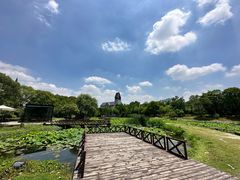 -美兰湖景区
