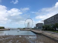 -琴岛之星摩天轮