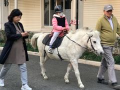 -金庭庄园酒店-停车场