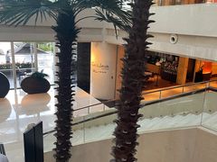 -广州白云机场雅高铂尔曼大酒店