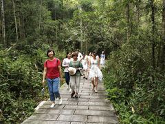 -九龙江国家森林公园