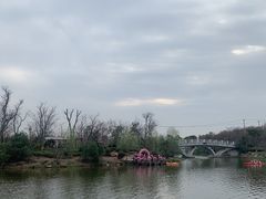 -上海长兴岛郊野公园