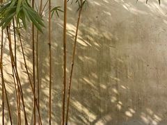 -苏州本色美术馆