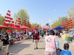 -渭南桃花源民俗文化园