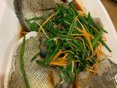 清蒸太阳鱼-大唐靓汤江门私房菜(景田店)