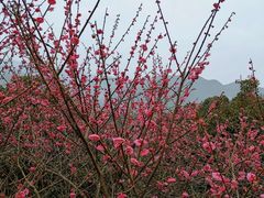 -蒋氏故居