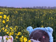 -汉长安城未央宫国家考古遗址公园