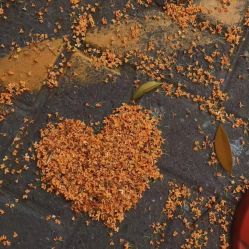 -纵享怡月月子中心(西稍门店)