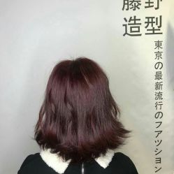 点击看大图 -藤野造型