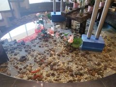-六合居·邯郸菜·武安菜起源地
