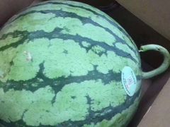 -上海龙吴水胜海发市场