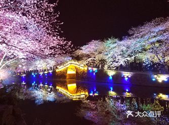 浪漫樱花季节。又是一年春暖花开，马上就是各路赏樱大会