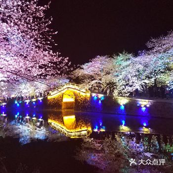 浪漫樱花季节。又是一年春暖花开,马上就是各路赏樱大会