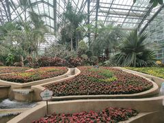 -南山植物园