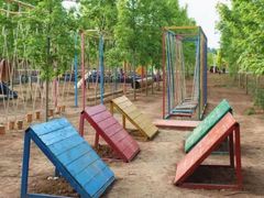 -遇见世外桃源教育农场