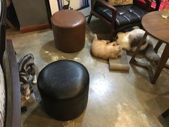 -咖法森林·咖啡  酒吧(天河店)