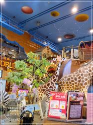 -卡通尼·Safari非洲探索乐园·生日会(金桥国际商业广场店)