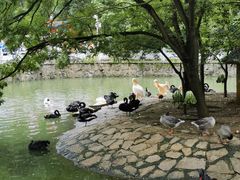 -黔灵山公园