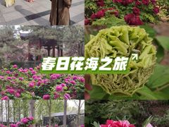 -洛阳市隋唐城遗址植物园