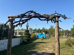 -爪吧宠物乐园 (温榆河示范区店)